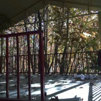 باغ|فروش زمین و ملک کلنگی|طالقان, |دیوار