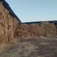 فروش پرس کاه و کلش کیلویی۸۵۰۰|حراج|روانسر, |دیوار