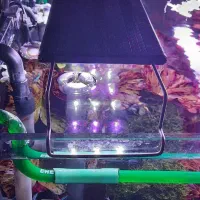 نور آکواریوم گیاهی و آب شیرین کوان لانگ