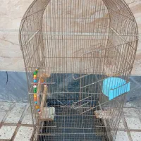یک عدد قفس پرنده