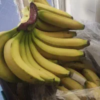 موز هندی سوپر سایز پنج