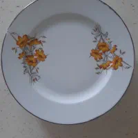 پیش دستی چینی