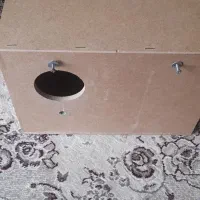 لونه برزیلی عروس هلندی