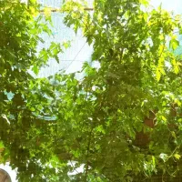 فروش خانه ۲ خواب بسیار تمیز و آماده سکونت