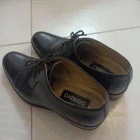 کفش چرم|کیف، کفش، کمربند|مشهد, دانشجو|دیوار