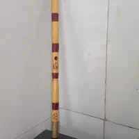 نی سل کوک  دومهر