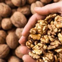 گردوی نیمه‌کاغذی تازه محصول آذربایجان