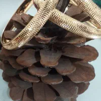 النگو نونو و انگشتر جلوه داره زیبا و مدال ستاره|جواهرات|اراک, |دیوار