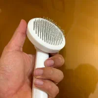 برس موی گربه