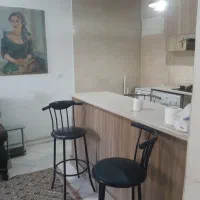 طبقه دوم نزدیک انسیتو مام و بیمارستان بقیه الله|اجارهٔ کوتاه‌مدت آپارتمان و سوئیت|تهران, امیرآباد|دیوار