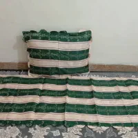 تشک و پشتی