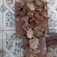 بست داربست وصفحه ده میل