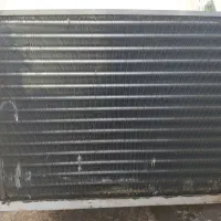 دوکولر  جنرال 18 و چراغ سبز18