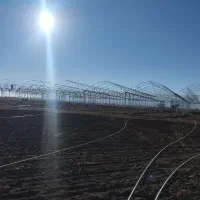 گلخانه برای اجاره