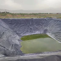 فروش باغ پسته بارده هشت ساله صنعتی ،با امکانات|فروش دفتر صنعتی، کشاورزی، تجاری|مرند, |دیوار