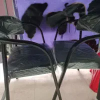 دو عدد صندلی نو آکبند