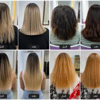 احیاءصافی‌‌‌، رنگ ولایت تخصصی