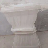 ۳ تا گلدون نونو بزرگ|گل و گیاه طبیعی|پاکدشت, پاکدشت (مامازند)|دیوار