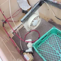 دستگاه جوجه کشی دستی|لوازم جانبی حیوانات|گمیشان, |دیوار