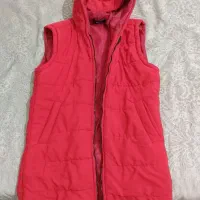 پافر زمستونی