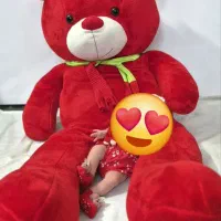 خرس عروسکی بزرگ۱۶۵/۱۷۰سانتی