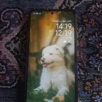 شیامی نوت13پرو