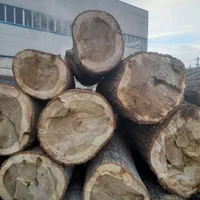 خریدار درخت وچوب