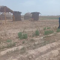 فروش یا معاوضه زمین زراعی با آپارتمان