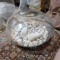 تنگ آکاریومی