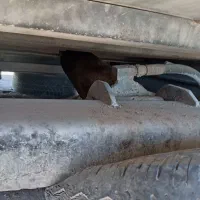 کمپرس نیسان|قطعات یدکی و لوازم جانبی|تربت‌حیدریه, اندیشه|دیوار