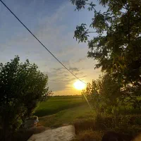 زمین کشاورزی آس آس فول امکانات دابودشت عظیم آباد|فروش زمین و ملک کلنگی|دابودشت, |دیوار