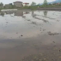مزرعه-کشاورزی-در-روستا