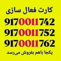 0917-0011-723