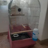 قفس پرنده