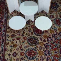 چندعددپایه زیرگلدان