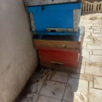 کندو زنبور عسل