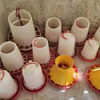 ابخوری و جادونی مرغ وجوجه