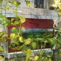 آکواریم همراه با تمام تجهیزات