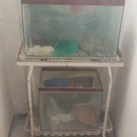 آکواریم ۷۰ و ۵۰ سانتی همراه با میز فلزی و تزیینات