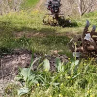 کار با تیلر|خدمات باغبانی و درختکاری|مریوان, |دیوار