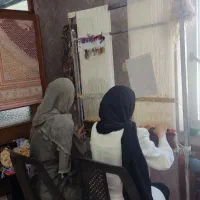 آموزشگاه قالیبافی گره زرین|خدمات آموزشی|اردبیل, |دیوار