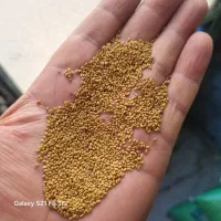 بذر یونجه ، شنبلیله ، اسپرس ، شبدر