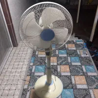 پنکه ایستاده