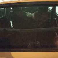 پیکان سواری|خودرو سواری و وانت|قم, پردیسان|دیوار