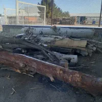 (الو چوب)خرید فروش انواع چوب و هیزم شومینه 7000