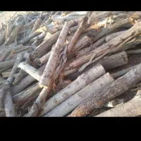 بورش وخریدچوب باغ وباغچه وپارکها درتهران