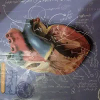 کتاب کار  تست|کتاب و مجله آموزشی|مشهد, فرهنگ|دیوار