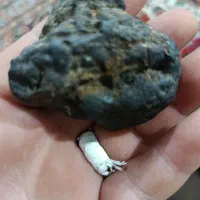 شهاب|کلکسیون اشیاء عتیقه|زنجان, |دیوار