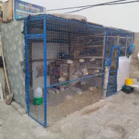 لوازم جانبی کبوتر