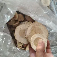برش کالباسی